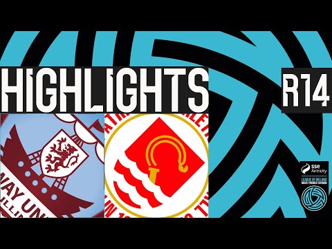 bg-highlight