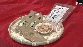 140年続く伝統の田子節と「潮かつお」を未来へ！反対乗り越えグランプリ獲得の5代目の挑戦＝静岡・西伊豆町