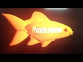 Nickelodeon Fish Bumper From 2003