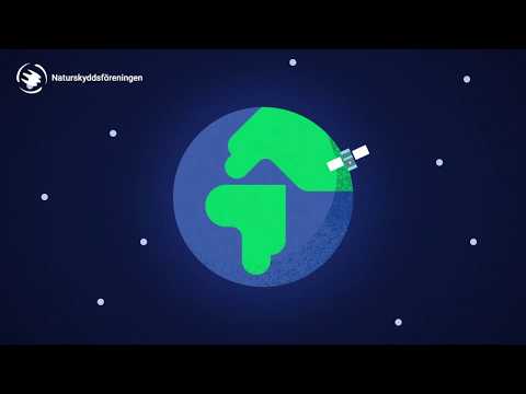 Operation: Rädda bina - Våra vilda trädgårdsmästare är på väg att försvinna