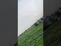 Kisan Da Putt