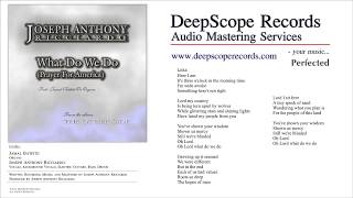 Joseph Anthony Ricciardo - What Do We Do (Music, Credits and Lyrics)