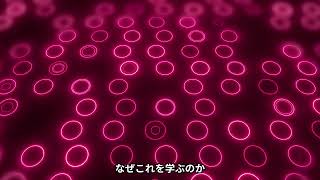 細胞が教えてくれた、勉強の真実