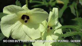 No One But You (Only The Good Die Young) - Queen