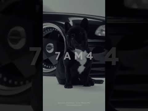 Karwan Hawramy - Chav Rasha Mn (Slowed+Reverb) 2nd Edit …