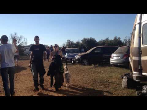 Teknival Raveoltek 15/08/15