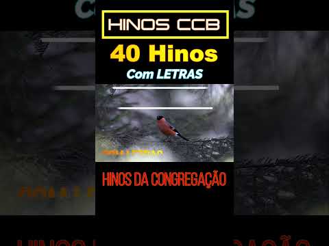 40 HINOS CCB COM LETRAS - HINOS DE LOUVORES A DEUS  #hinosccb