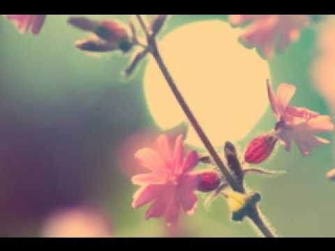 Tigerskin - Do it Alright