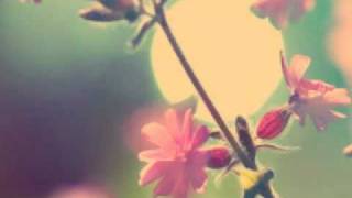 Tigerskin - Do it Alright