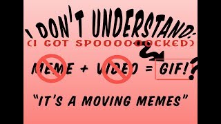 I Don't Understand: Gifs