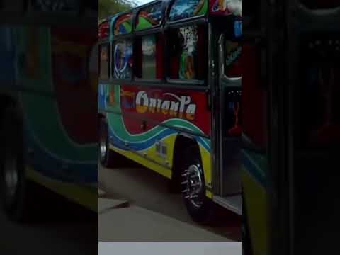 Barranquilla Colombia Cootransoriente #colombia 🇨🇴🚌 Buses Santos tomas Atlántico