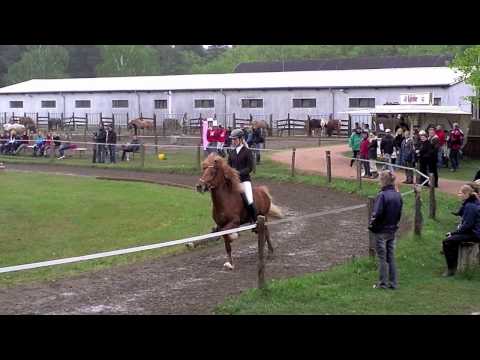 OSI Lótushof 2012 - Samstag - www.isibless.de