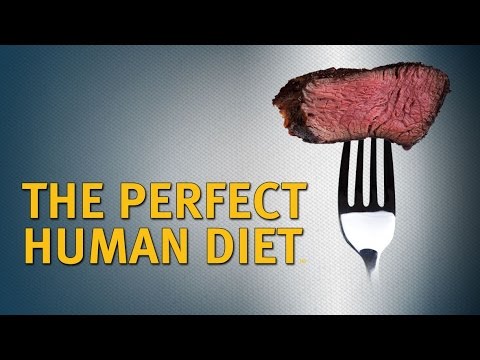 afbeelding In Search of the Perfect Human Diet