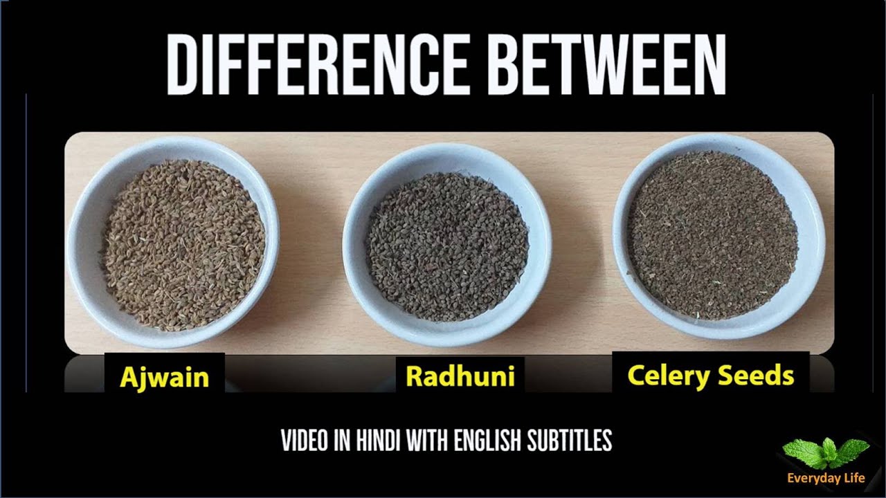 Difference between Ajwain, Radhuni and Celery Seeds | अजवाइन, रधुनि और सेलरी सीड्स | #38