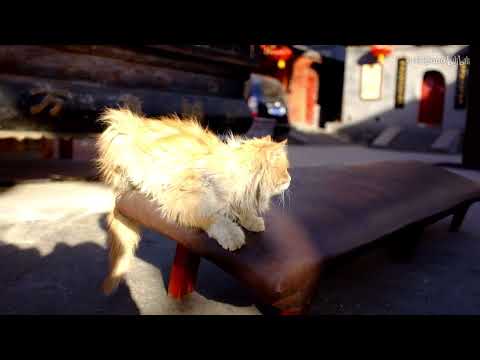 skybook - 小野道/Ono, Creuzer feat. 初音ミク/Hatsune Miku