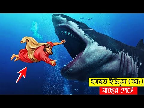 The story of Prophet Yunus (AS) being swallowed by a fish | The miracle of Prophet Yunus (AS) and...