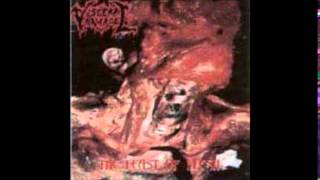 Visceral Damage - The Feast of Flesh (Full EP)