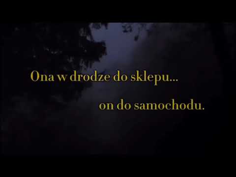 Wisława Szymborska- ,,Perspektywa"