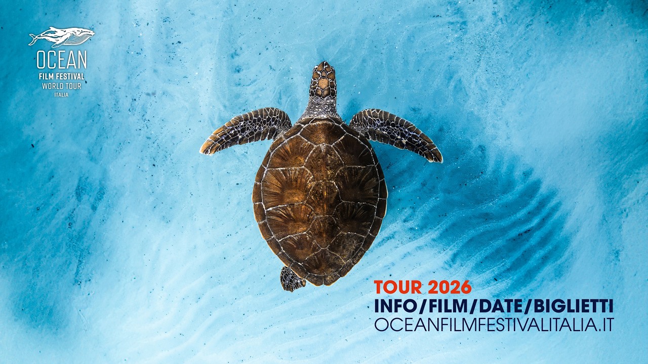 Ocean Film Festival Italia 2026: date, città e biglietti