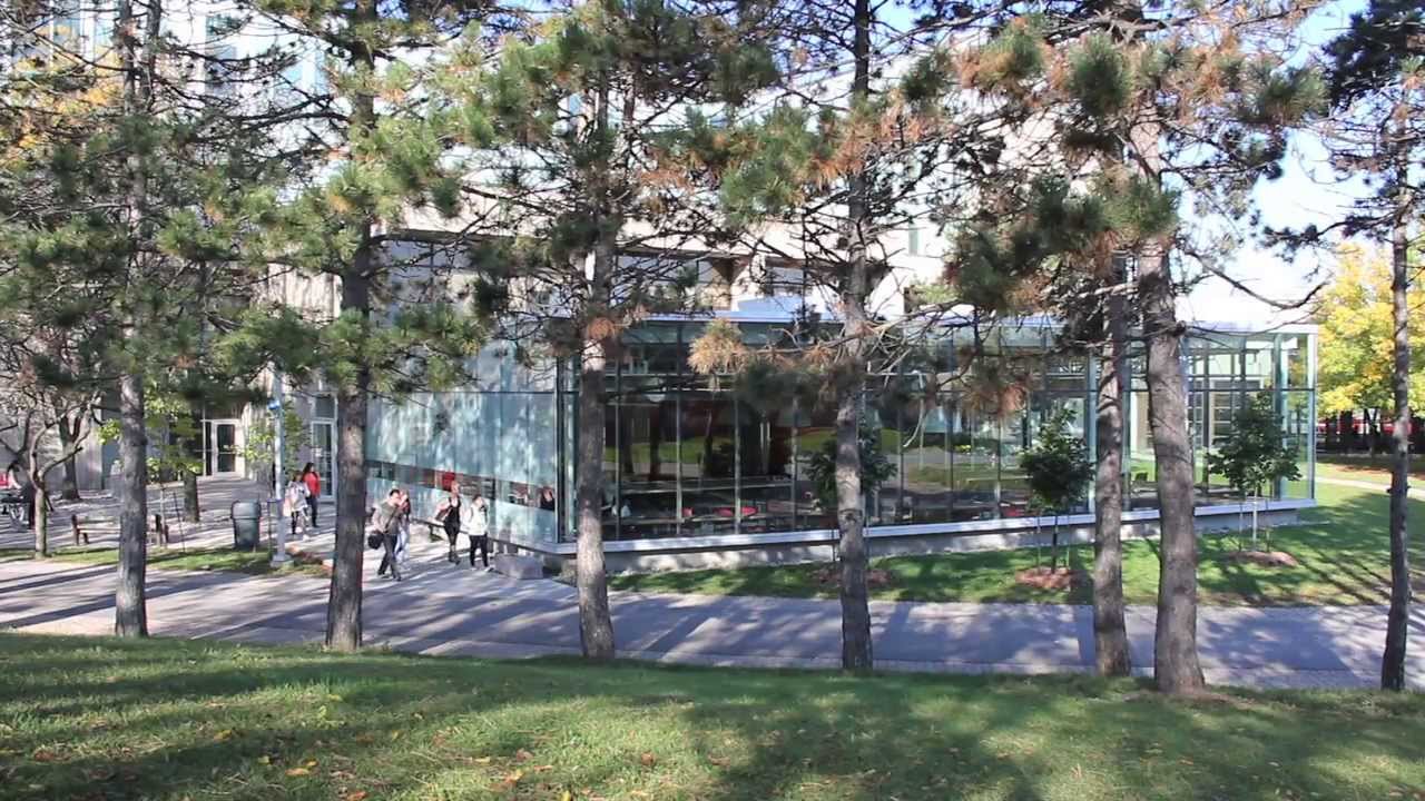 세네카 폴리테크닉 소개 영상 썸네일