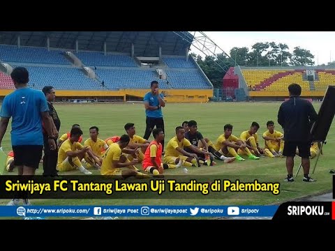 Tawarkan Penginapan dan Makan Gratis, Sriwijaya FC Tantang Lawan Uji Tanding di Palembang