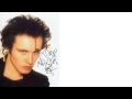 Adam The Ants Ants Invasion