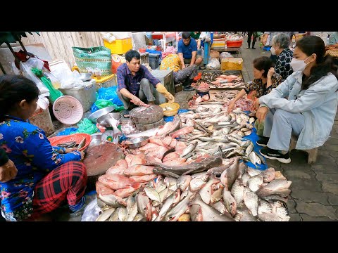 Morning Cambodian Food Market Tour @Boeng Trabek Market | Real Life In Market & Plenty of Food