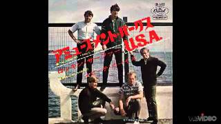 The Beach Boys - Amusement Parks U.S.A.