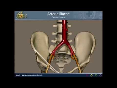 Mal di stomaco sul lato sinistro, e dà alla vita Ciò che bloccare un colpo con artrosi dellarticolazione della spalla