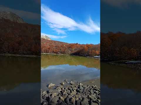 otoño 25 lagun verde