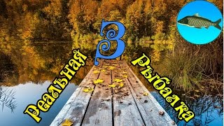 Как поймать черного леща в реальной рыбалке