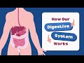 How Our Digestive System Works | Digestive System working | Digestive System