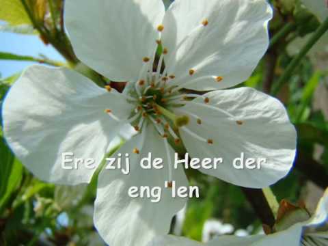 Ere zij aan God de Vader opwekking 320