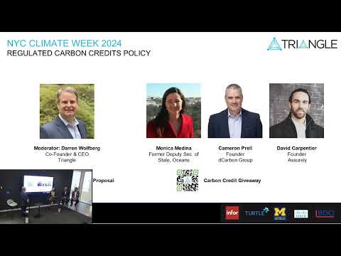Regulated Carbon Credits Policy | Triangulating Climate, Data & Finance