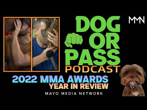 2022 UFC Year in Review + MMA Awards