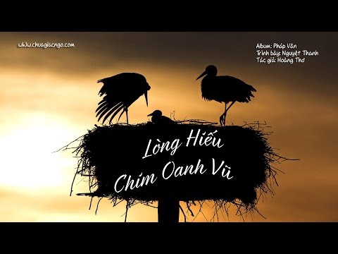 Lòng hiếu chim oanh vũ