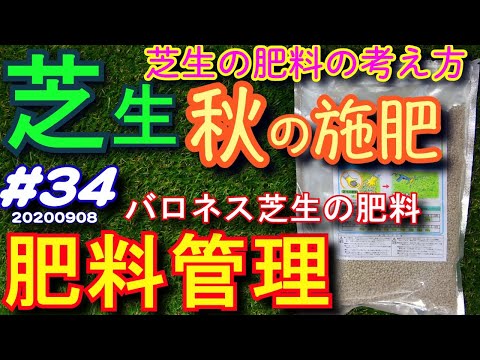 冬前の芝生の肥料は何ですか