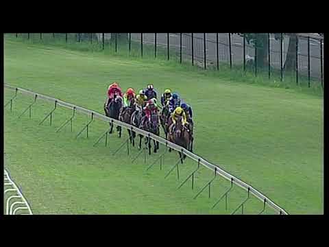 20181230 Greyville express clip Race 6 won by HERO QUEST