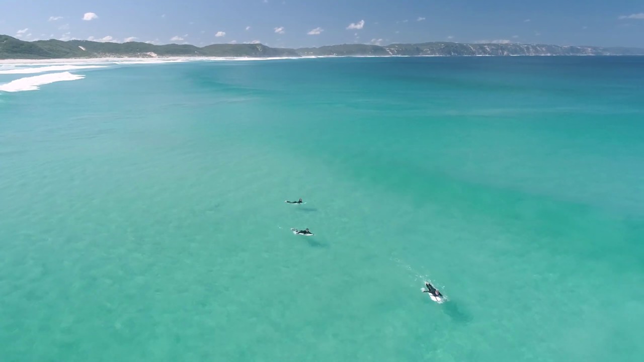 Lee Brampton Mason Realty ALBANY