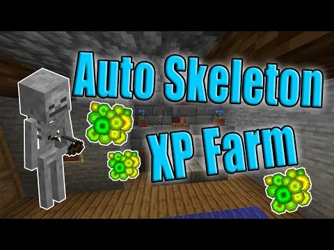Top 10 Minecraft Best Ways To Get Xp Gamers Decide Top 10 Minecraft Best Ways To Get Xp Gamers Decide