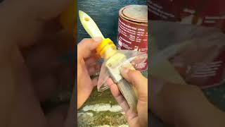 Clean the dust on the windows #shorts