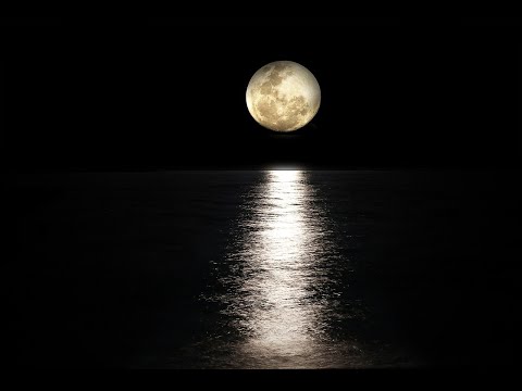 8H Music for sleep the deepest sleep music | Deep sleep ocean waves no ads | Moon night video no ads