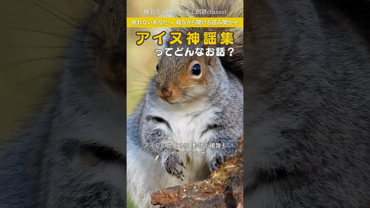 【１分あらすじ】金カムファン必見！アイヌ文化の原点『アイヌ神謡集』解説🌙 #shorts #朗読