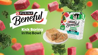 Purina Beneful 🐶 Beneful – Freshly Prepared