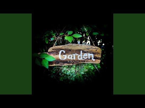 Garden - Matt Bednarsky