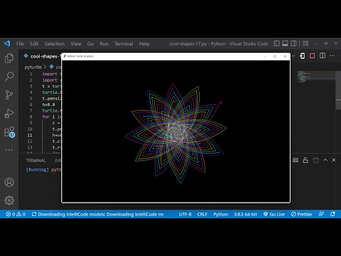 Python Turtle Graphics 26 Cool Shape Drawing Python Turtle Coding Video Learnonpy