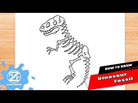 How to Draw Dinosaur Fossil