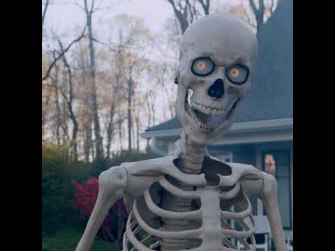 Animated Yard Skeleton