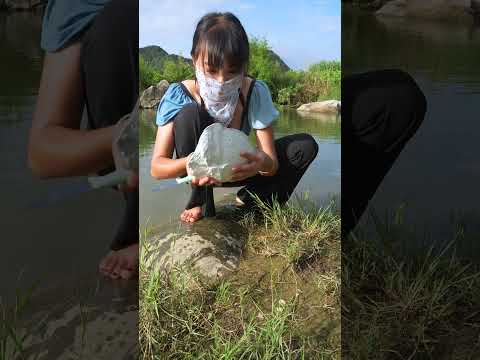 🔥🔥 Incredible white clam # pearl # clam # variation