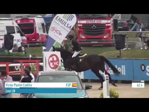 Loui ln (SWB) CSIYH Gijón 14/08/2021 7yo class